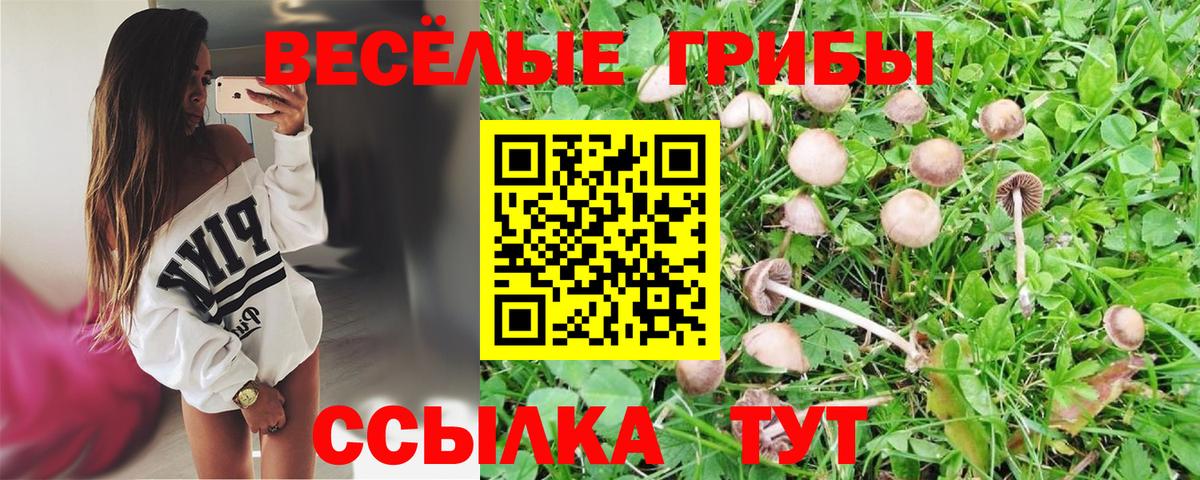 Советский  Псилоцибиновые грибы мухоморы  Вход с VPN 
